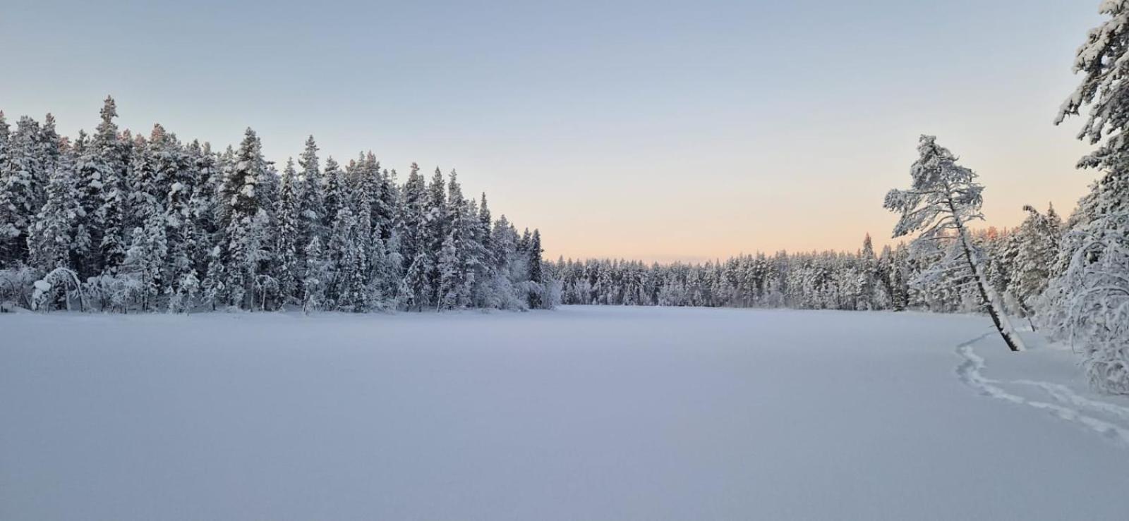 Lapland Old School Otel Muonio Dış mekan fotoğraf